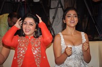 Paisa Vasool Audio Success Meet Photos